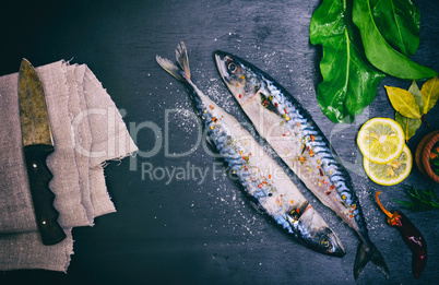 Two mackerels in spices and salt