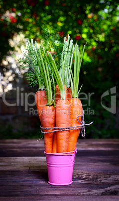 Fresh carrots tied with a rope on a brown table