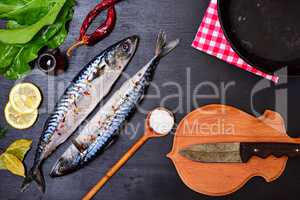 Fresh mackerel fish with spices