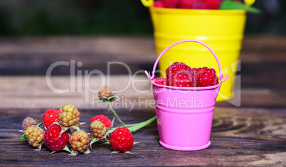 Ripe red raspberries in an iron bucket