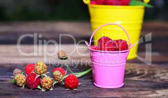 Ripe red raspberries in an iron bucket