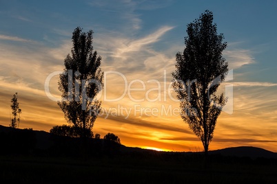 Beautiful sunset landscape with trees