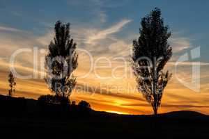 Beautiful sunset landscape with trees
