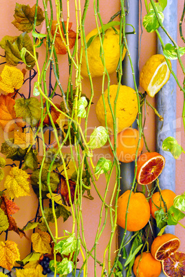 sliced oranges and lemons hanging from a wall