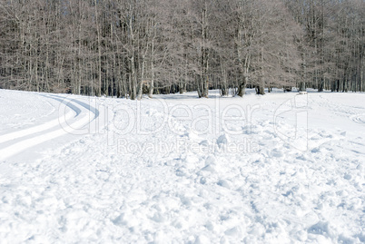 snowy landmark in a sunny winter day