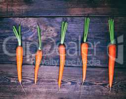 Orange fresh carrots