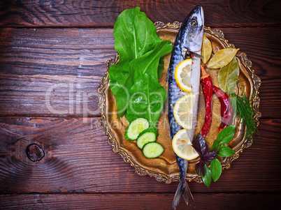 Mackerel with spices and herbs on a copper plate