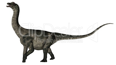 Antarctosaurus dinosaur - 3D render