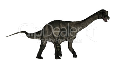 Antarctosaurus dinosaur - 3D render