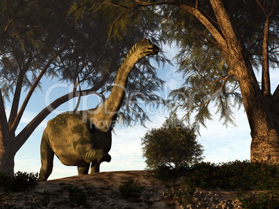 Antarctosaurus dinosaur - 3D render