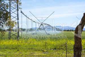 Industrial irrigation of crops