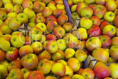 Äpfel auf einem Wochenmarkt