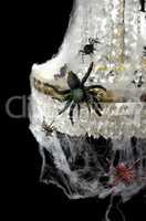 Spiders on the chandelier