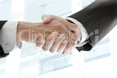 Busines people handshake