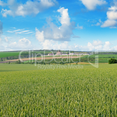 field and orthodox temple against the blue sky