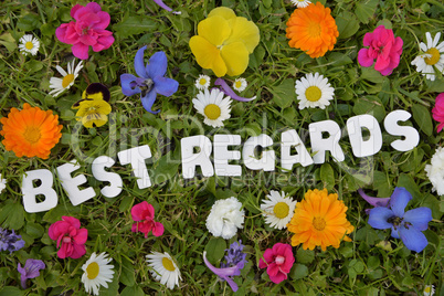 Summer text on flower meadow letter