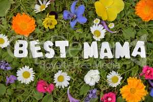 Summer text on flower meadow letter