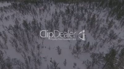 Dronenflug über verschneiten Winterwald, Norwegen