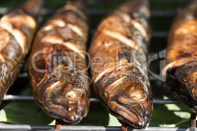Grilled fish at the outdoor market