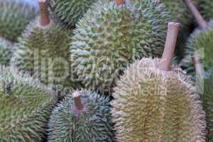 Group of Durian fruit at the outdoor market