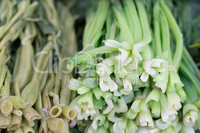 Fresh vegetable at the outdoor market