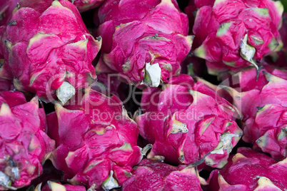 Group of Dragon fruit at the outdoor market