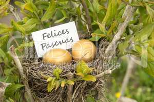 Easter greetings