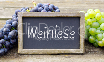 Weinlese Kreidetafel mit Weintrauben auf Holz Hintergrund