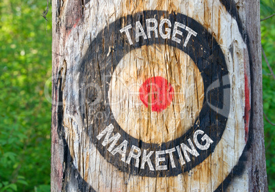 Target Marketing - target on tree with text