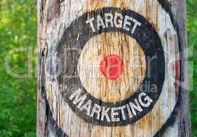 Target Marketing - target on tree with text