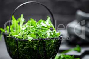 Arugula leaves, rucola