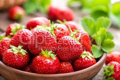 Fresh juicy strawberries with leaves. Strawberry.