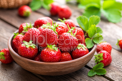 Fresh juicy strawberries with leaves. Strawberry.