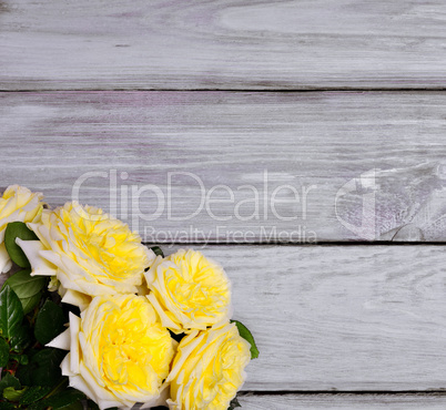 Bouquet of yellow roses