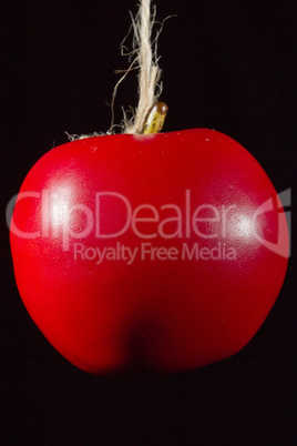 Red ripe apple on a rope