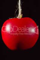 Red ripe apple on a rope