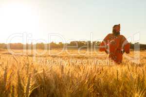 African woman in traditional clothes standing in a field of crop