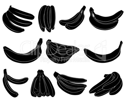 Set of different bananas