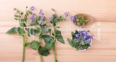 bowl with starflower