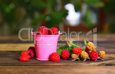 Ripe red raspberry in a pink metal bucket