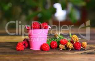 Ripe red raspberry in a pink metal bucket