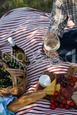 Mid-section of man sitting with a glass of wine on picnic blanket