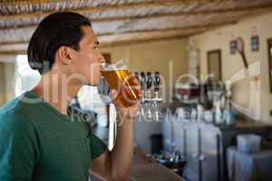 Young man drinking beer