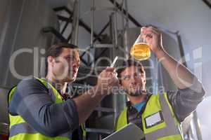 Low angle view of coworkers examining beer in beaker