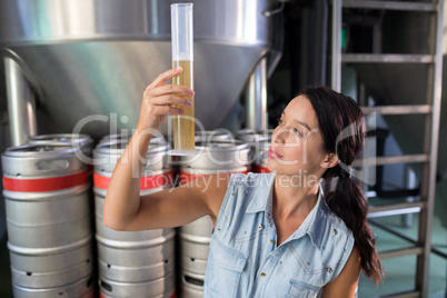 Worker examining beer in test tube at warehouse