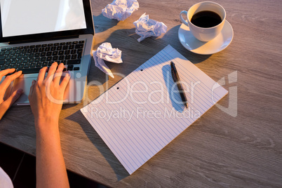 Female executive working over laptop at her desk