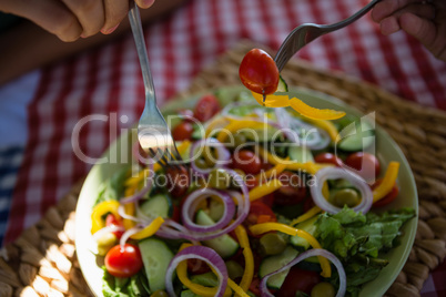 Cropped hands of friends having salad