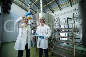 Scientists examining beer in beaker