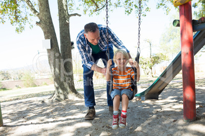 Father pushing son sitting on swing