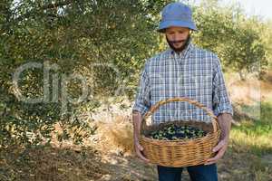 Farmer looking at basket of olives